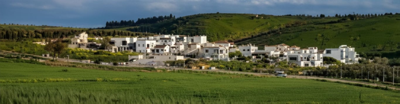 Description of the image